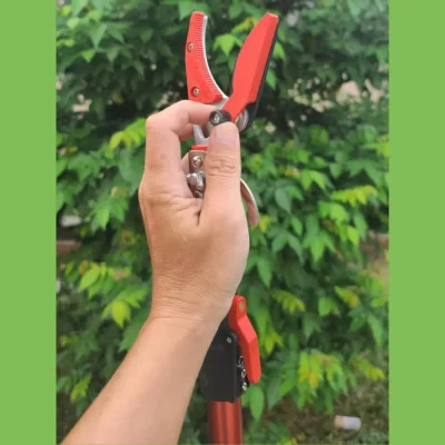 Đầu kẹp giữ trái cây chống rơi dập cho kéo cắt cành 3m